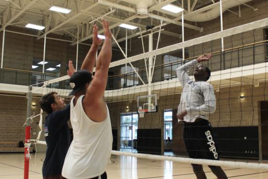 Volleyball
