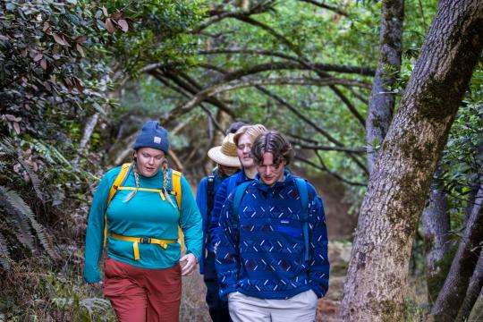 students in hats walking down a wooded path