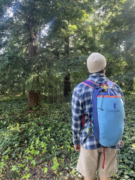 person wearing plaid standing in a forest with a backpack