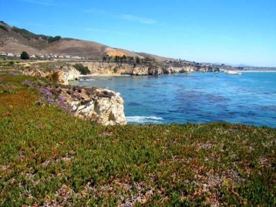 coastal cliff edge and blue water