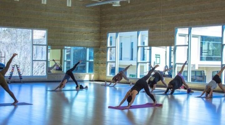 Group yoga class practicing poses in a bright fitness studio.
