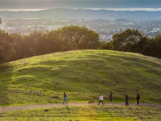 Taylor mountain Regional park 
